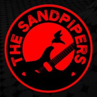 The Sandpipers - It's Better When It's Loud