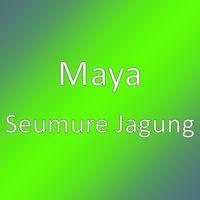 Maya - Seumure Jagung