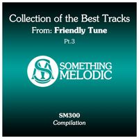 Friendly Tune - Collection of the Best Tracks From: Friendly Tune, Pt. 3