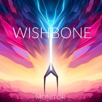 Monitor - Wishbone