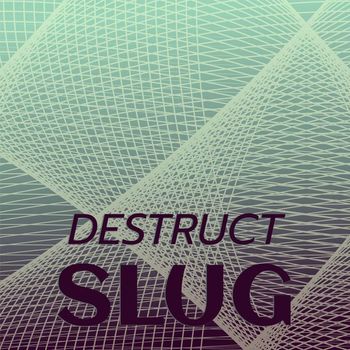 Various Artists - Destruct Slug