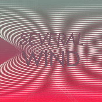 Various Artists - Several Wind