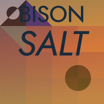 Various Artists - Bison Salt