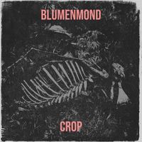 Crop - Blumenmond (Explicit)