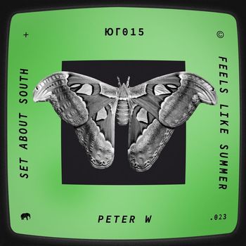 Peter W - Feels Like Summer