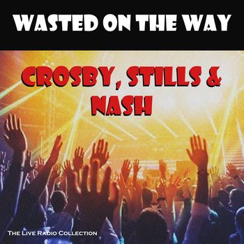 Crosby, Stills & Nash - Wasted On The Way (Live)