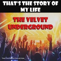 The Velvet Underground - That's The Story Of My Life (Live)