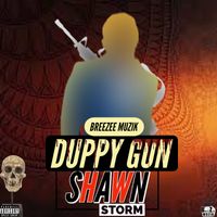 Shawn Storm - DUPPY GUN (OFFICIAL AUDIO)
