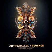 Essence Project - Antiparallel Sequence