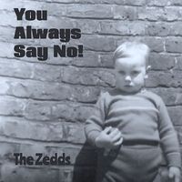 The Zedds - You Always Say No!