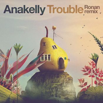 Anakelly - Trouble (Ronan Remix)