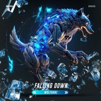 WolfganZ - Falling Down