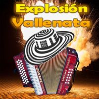 Los Alegres Vallenatos - Explosión Vallenata