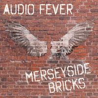 Rene Petershagen - Merseyside Bricks