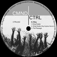 B. Riley - CTRL002