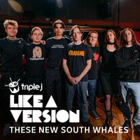 These New South Whales - Tubthumping (triple j Like A Version)