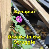 Synapse - Beauty in the Struggle (Explicit)