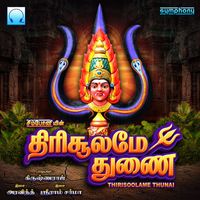 Krishnaraj - Thirisoolame Thunai