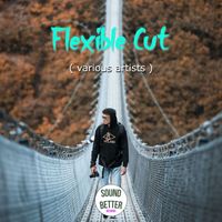 Various Artists - Flexible Cut