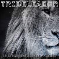 Tribeleader - INSTRUMENTALS TECH DRILL