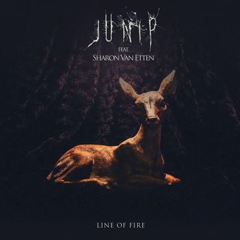 Junip - Line Of Fire (feat. Sharon Van Etten)