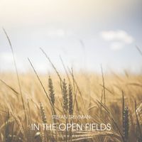 Stefan Truyman - In The Open Fields