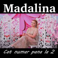 Madalina - Cat numar pana la 2