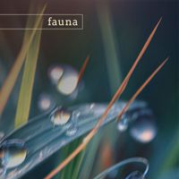 fauna - white sands (nature)