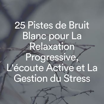 Multi-interprètes - 25 Pistes de Bruit Blanc pour La Relaxation Progressive, L'écoute Active et La Gestion du Stress