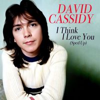 David Cassidy - I Think I Love You (Re-Recorded) [Sped Up]