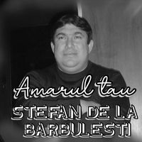 Stefan de la Barbulesti - AMARUL TAU
