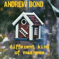 Andrew Bond - Different Kind Of Madness