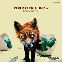 Black Elektronika - Captivate Rhythm