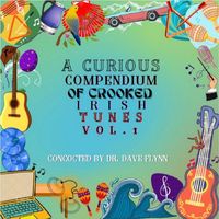 Dave Flynn - A Curious Compendium of Crooked Irish Tunes (VOL. 1)