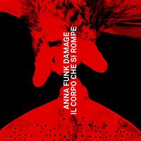 Anna Funk Damage - Il Corpo Che Si Rompe