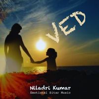 Niladri Kumar - Loved: Emotional Sitar Music