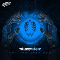Basspunkz - Not The Only One