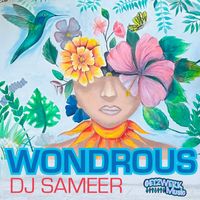 DJ Sameer - Wondrous