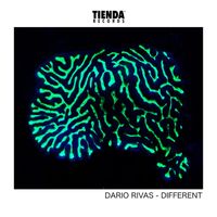 Dario Rivas - Different
