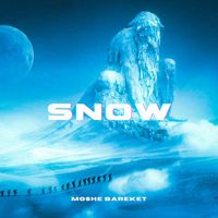 Moshe Bareket - Snow