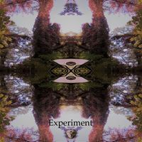 Hago - Experiment (Live)