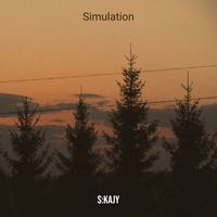 S:KAJY - Simulation