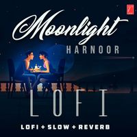 Lofi Music - Moonlight Lofi