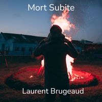 Laurent Brugeaud - Mort Subite
