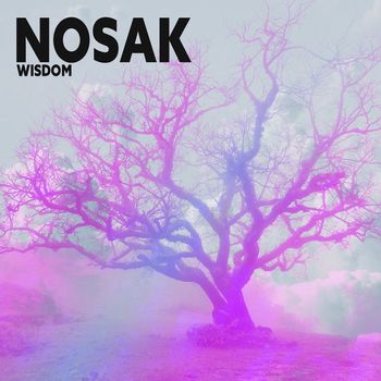 Nosak - Wisdom