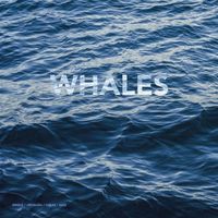 Lukas - Whales