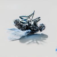 Aki Rissanen - Exosphere