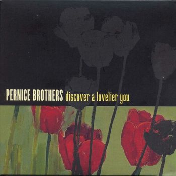 Pernice Brothers - Discover A Lovelier You