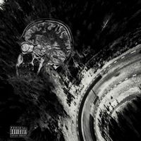 Pelly - take my chance before I see my grave (Explicit)