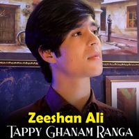 Zeeshan Ali - Tappy Ghanam Ranga